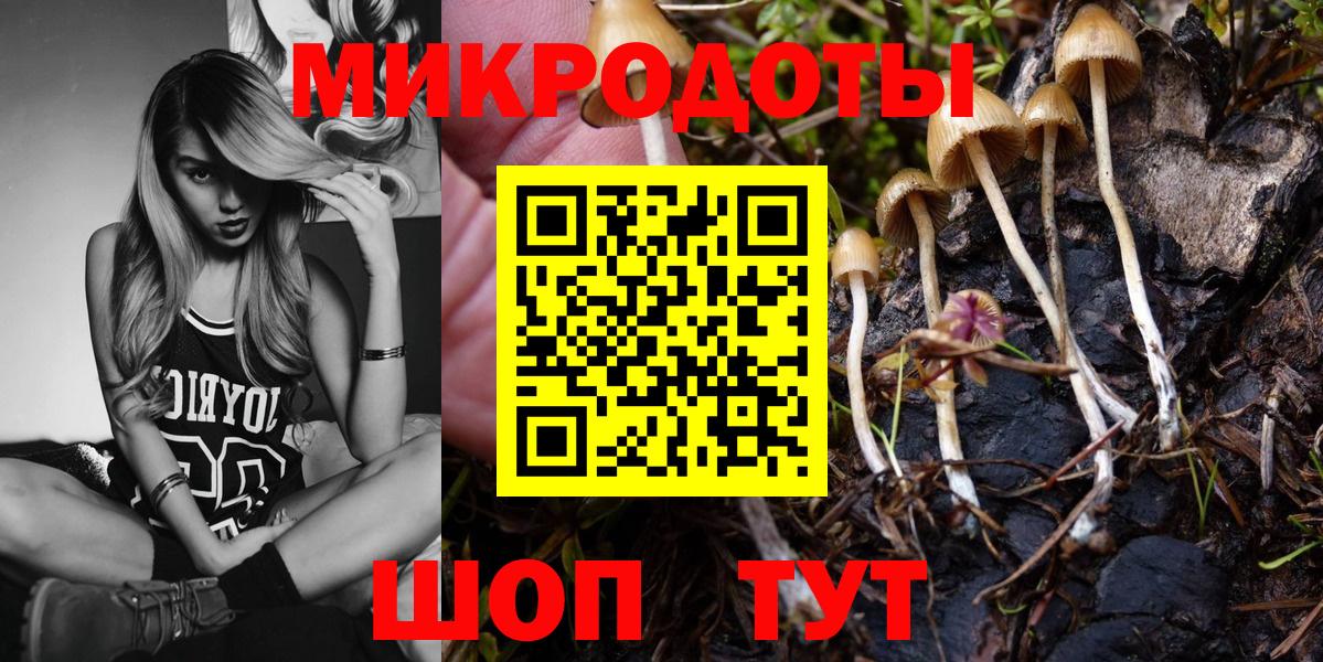 Шатура  Псилоцибиновые грибы GOLDEN TEACHER  Вход с VPN 