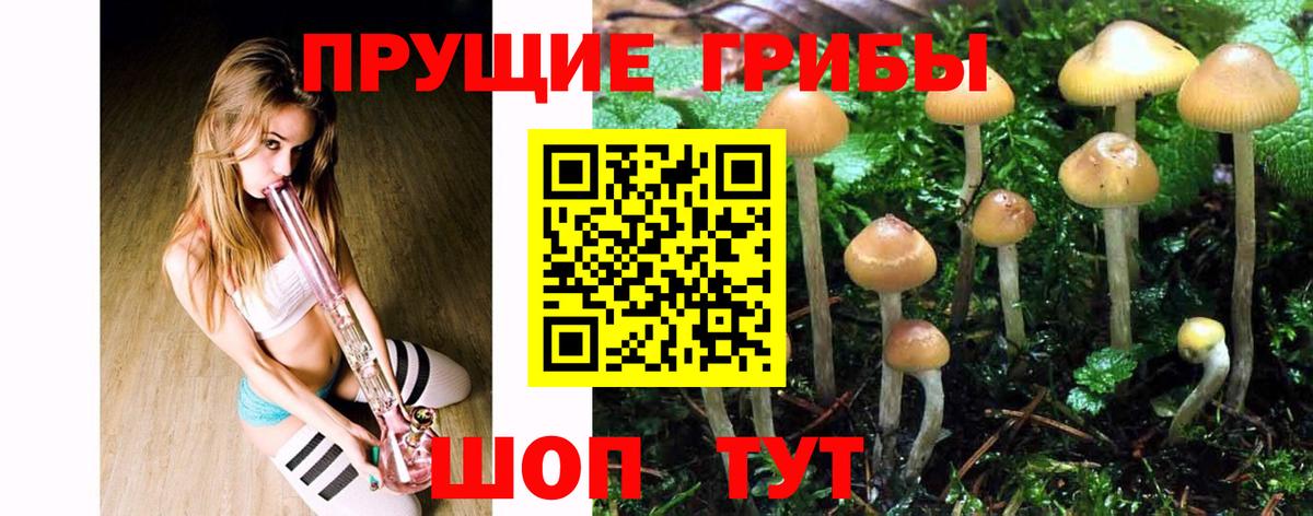 Галлюциногенные грибы Magic Shrooms Шатура